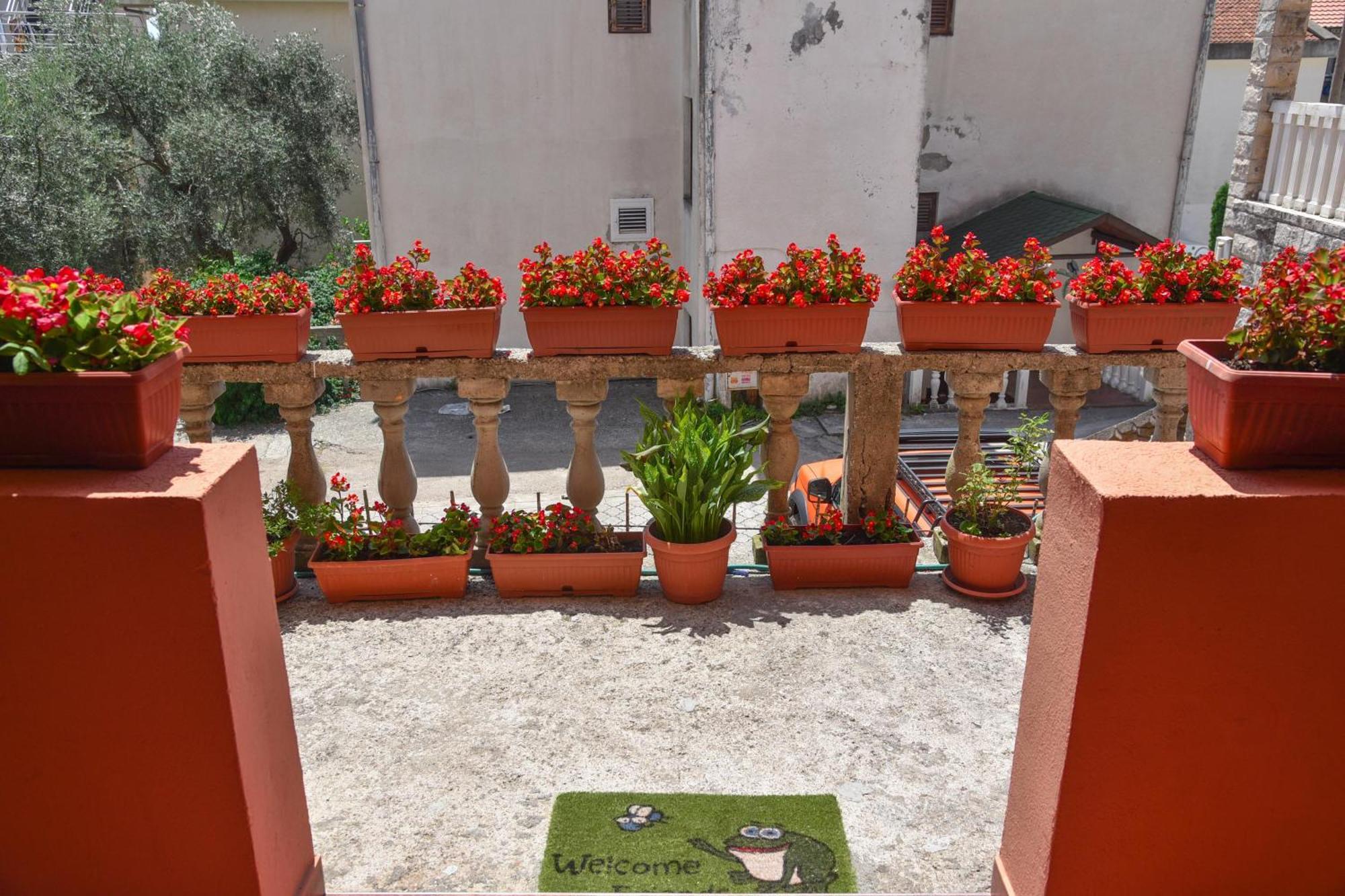 Vila Apartments Lidija Petrovac المظهر الخارجي الصورة