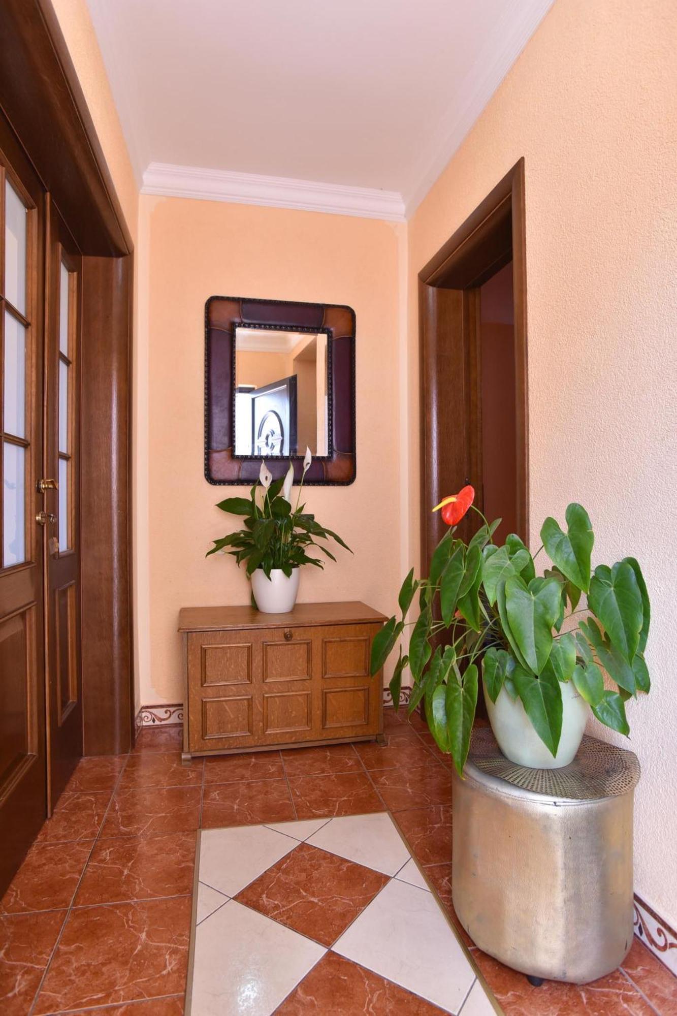 Vila Apartments Lidija Petrovac المظهر الخارجي الصورة