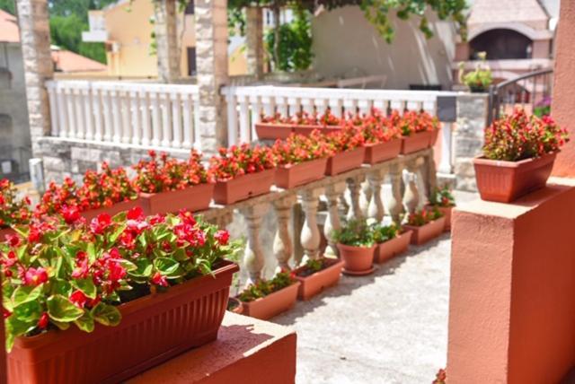 Vila Apartments Lidija Petrovac المظهر الخارجي الصورة